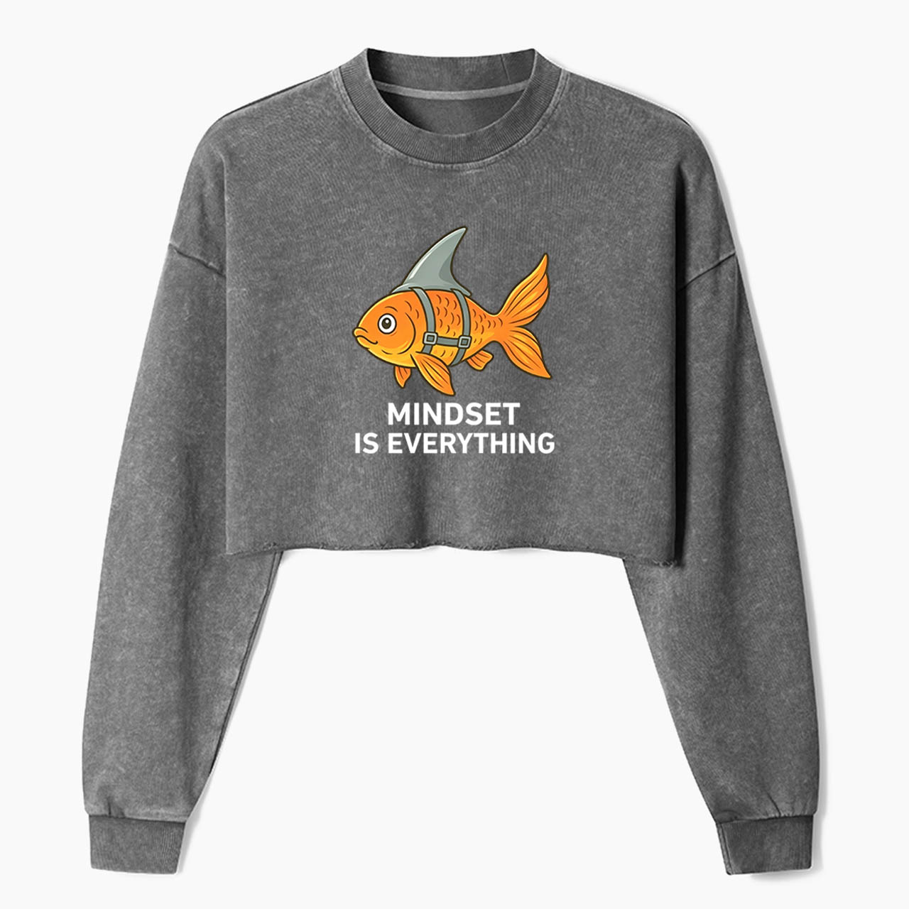 Mindset Is Everything Crop Washed Sweatshirts