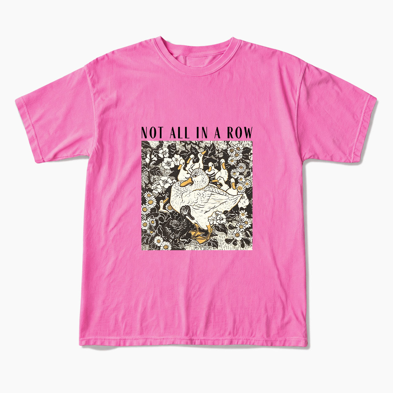 Ducks Not all in A Row T Shirts