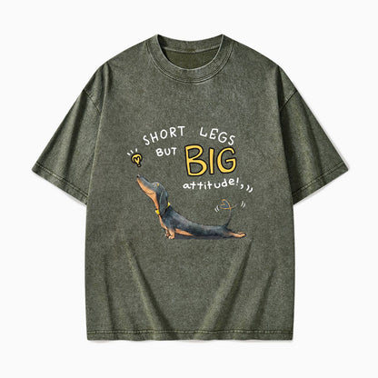 Short Legs But Big Attitude Wiener Dog Washed Tees