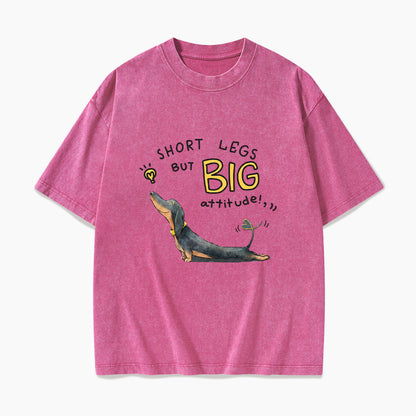 Short Legs But Big Attitude Wiener Dog Washed Tees
