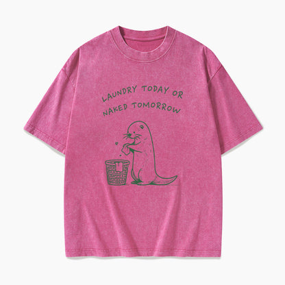 Laundry Today or Naked Tomorrow Washed Tees