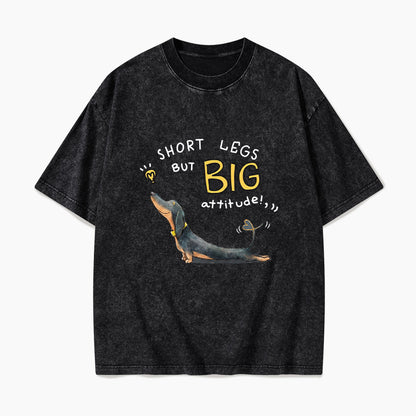 Short Legs But Big Attitude Wiener Dog Washed Tees